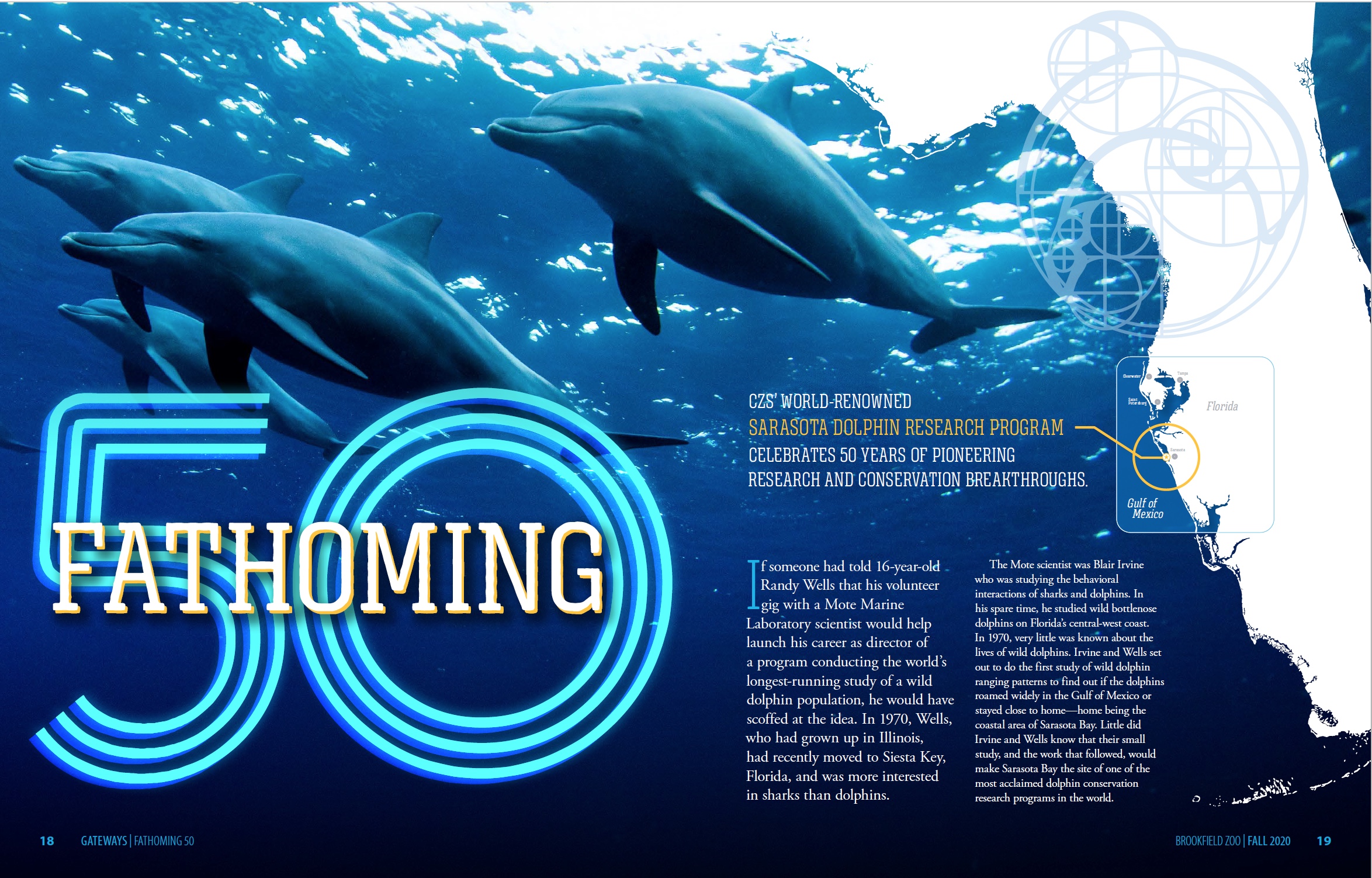 An Intern's Perspective - Sarasota Dolphin Research Program