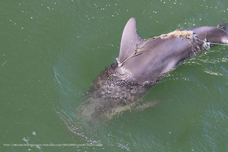 CMA2510_L lateral_11.3.2025 (4)-cdt-w