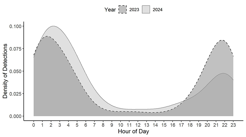 26 – bullshark_hour_detection