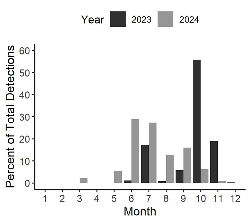 26 – bullshark_month_detection