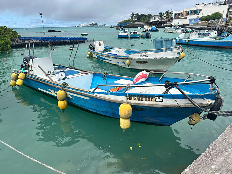 Panga-1